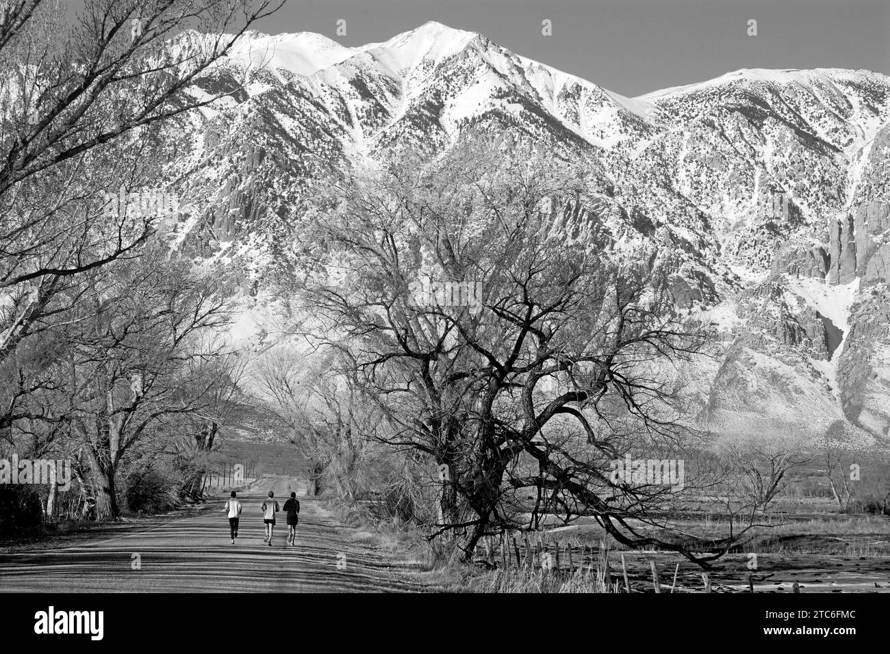 Marathonläufer Ryan Hall trainiert in den Sierras. Stockfoto