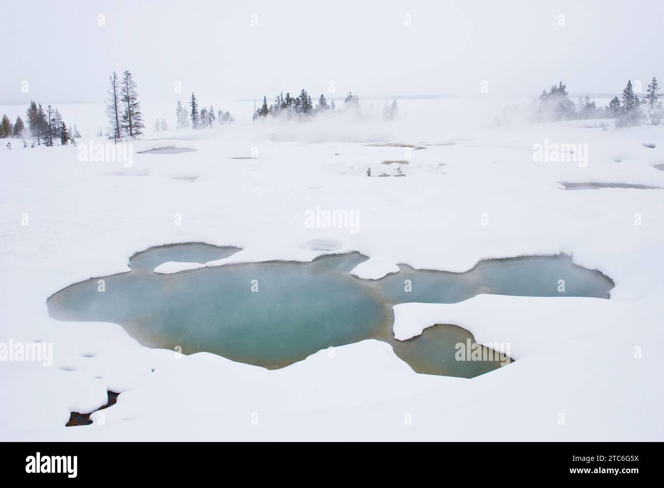 Dampfaufgang in einem Thermalbad im Yellowstone-Nationalpark, Wyoming. Stockfoto