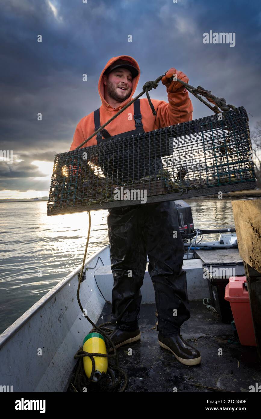 Kommerzieller Fischer, der Krabbenfalle in einem Fischerboot schleppt Stockfoto