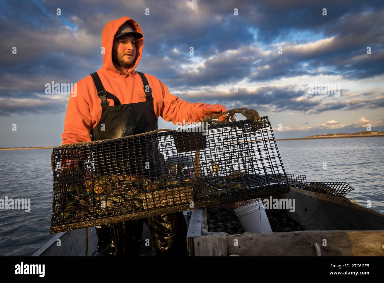 Kommerzieller Fischer, der Krabbenfalle in einem Fischerboot schleppt Stockfoto