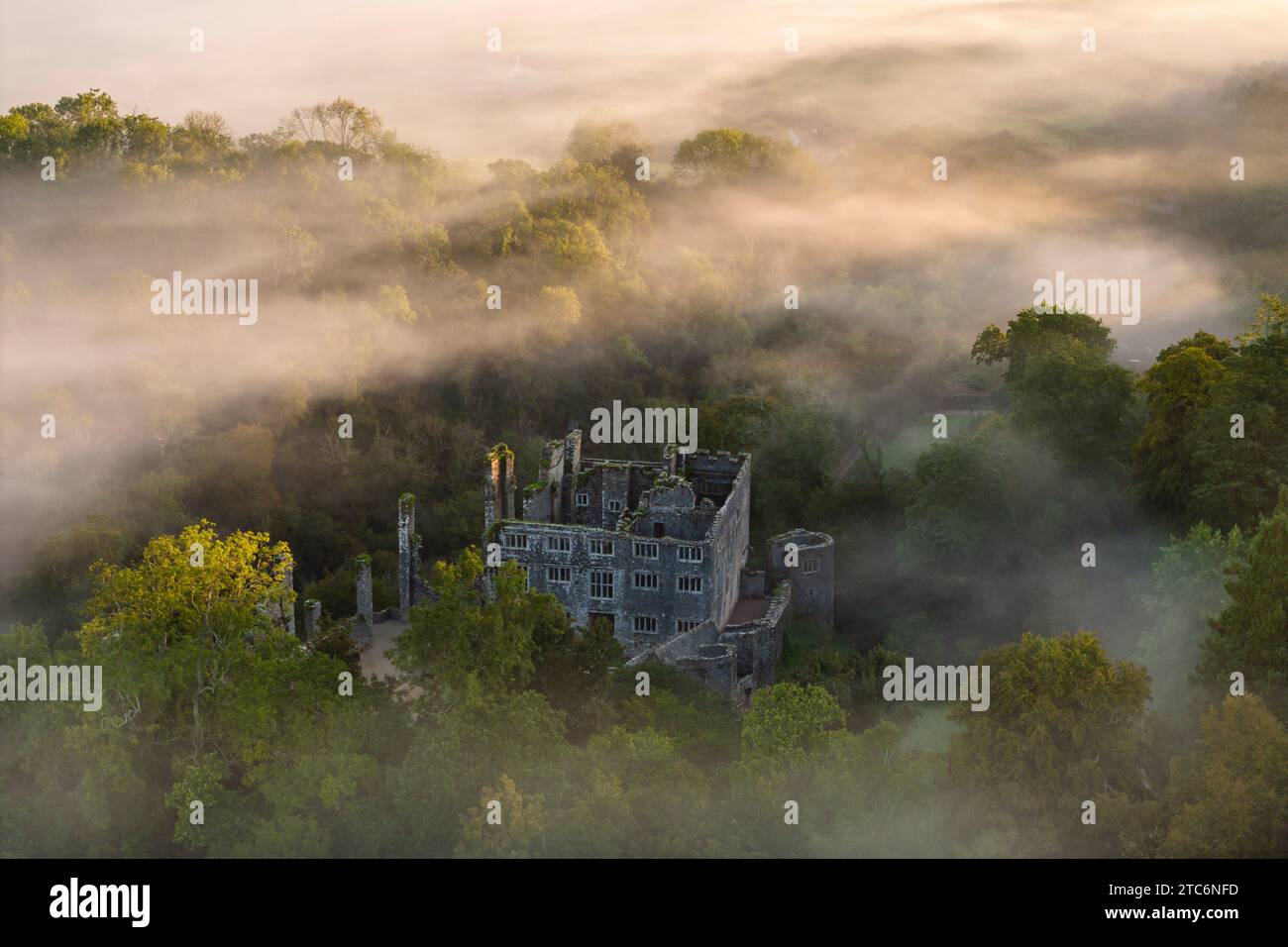 Aus der Vogelperspektive von Berry Pomeroy Castle an einem nebeligen Herbstmorgen in Devon, England. Herbst (September) 2023. Stockfoto