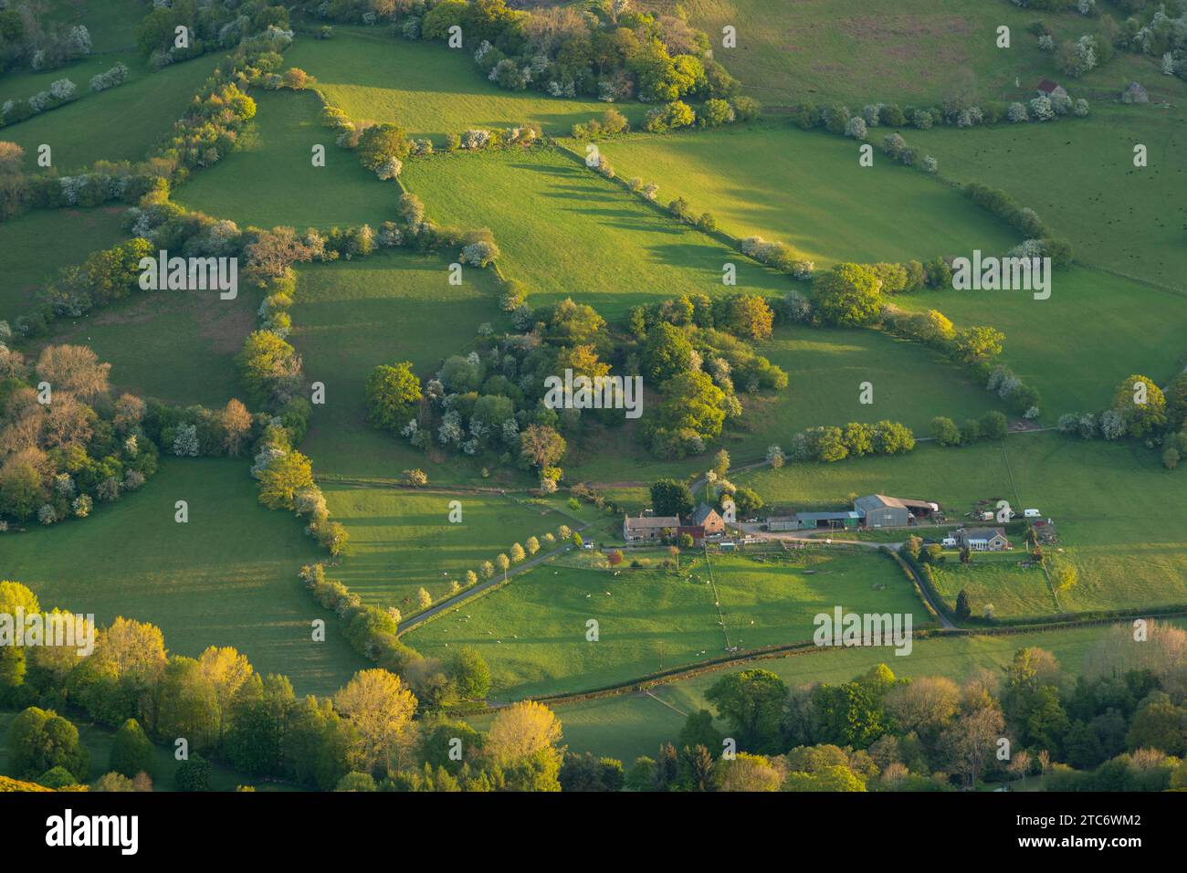 Abgelegener Bauernhof auf den steilen Hügeln von Bannau Brycheiniog, früher bekannt als Brecon Beacons, nahe Abergavenny in Powys, Wales, Großbritannien. Feder Stockfoto