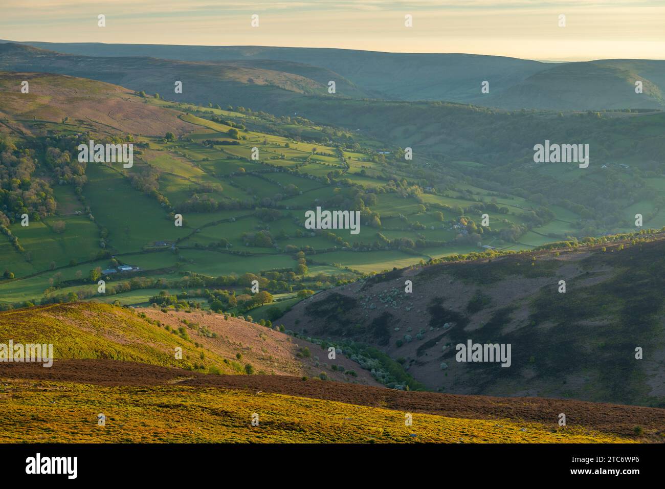 Wunderschönes Morgensonnenlicht auf den sanften grünen Feldern von Bannau Brycheiniog, früher bekannt als Brecon Beacons, vom Zuckerhut Berg, Abergave Stockfoto