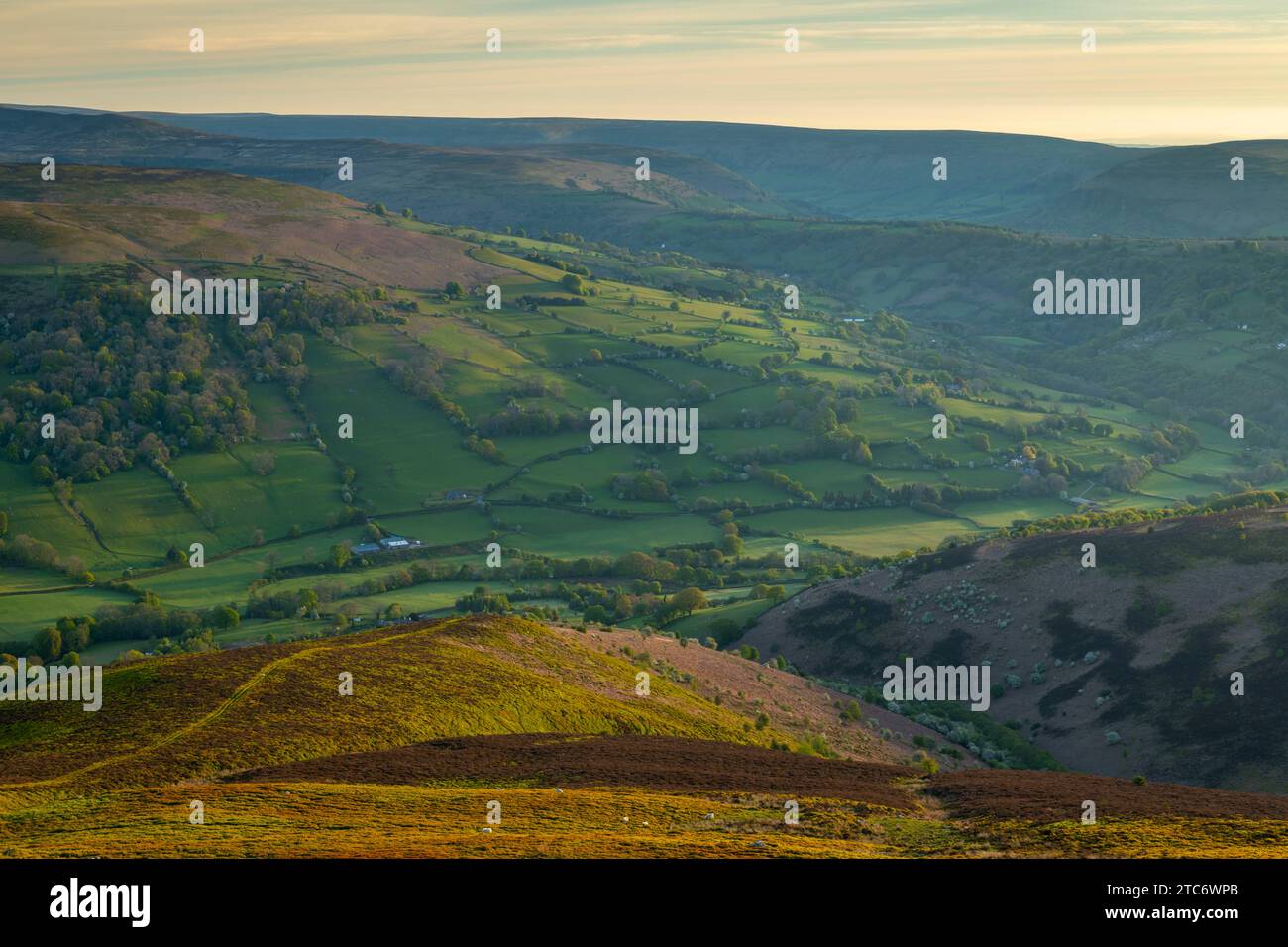 Wunderschönes Morgensonnenlicht auf den sanften grünen Feldern von Bannau Brycheiniog, früher bekannt als Brecon Beacons, vom Zuckerhut Berg, Abergave Stockfoto