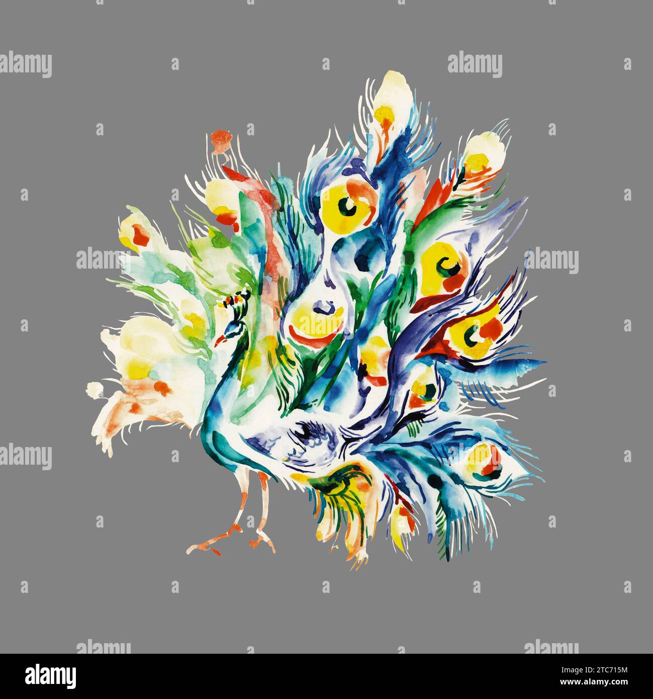 Farbenfroher Pfau für Druck- und Tapetendesign. Handgezeichnete Aquarelle. Schönes Vogelgemälde auf grauem Hintergrund. Türkisfarbene, blaue, grüne Feder. Stockfoto