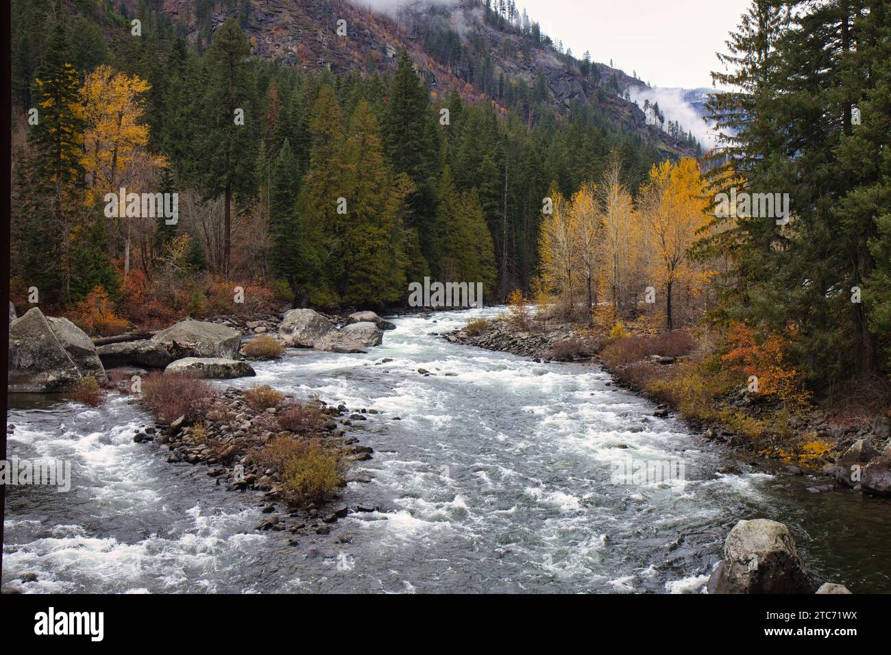 Ein Fluss, der sich durch einen Wald im US-Bundesstaat Washington schlängelt, mit Herbstlaub und felsigen Ufern Stockfoto