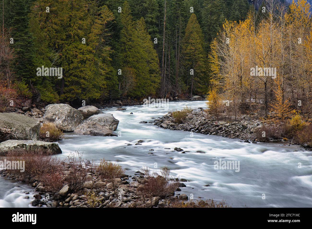 Ein Fluss, der sich durch einen Wald im US-Bundesstaat Washington schlängelt, mit Herbstlaub und felsigen Ufern Stockfoto