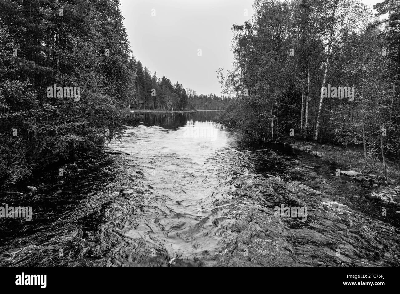 Fluss Kalliojoki bevorzugt von Fischern und Kanufahrern, Kuhmo Finnland Juni 2023 Stockfoto