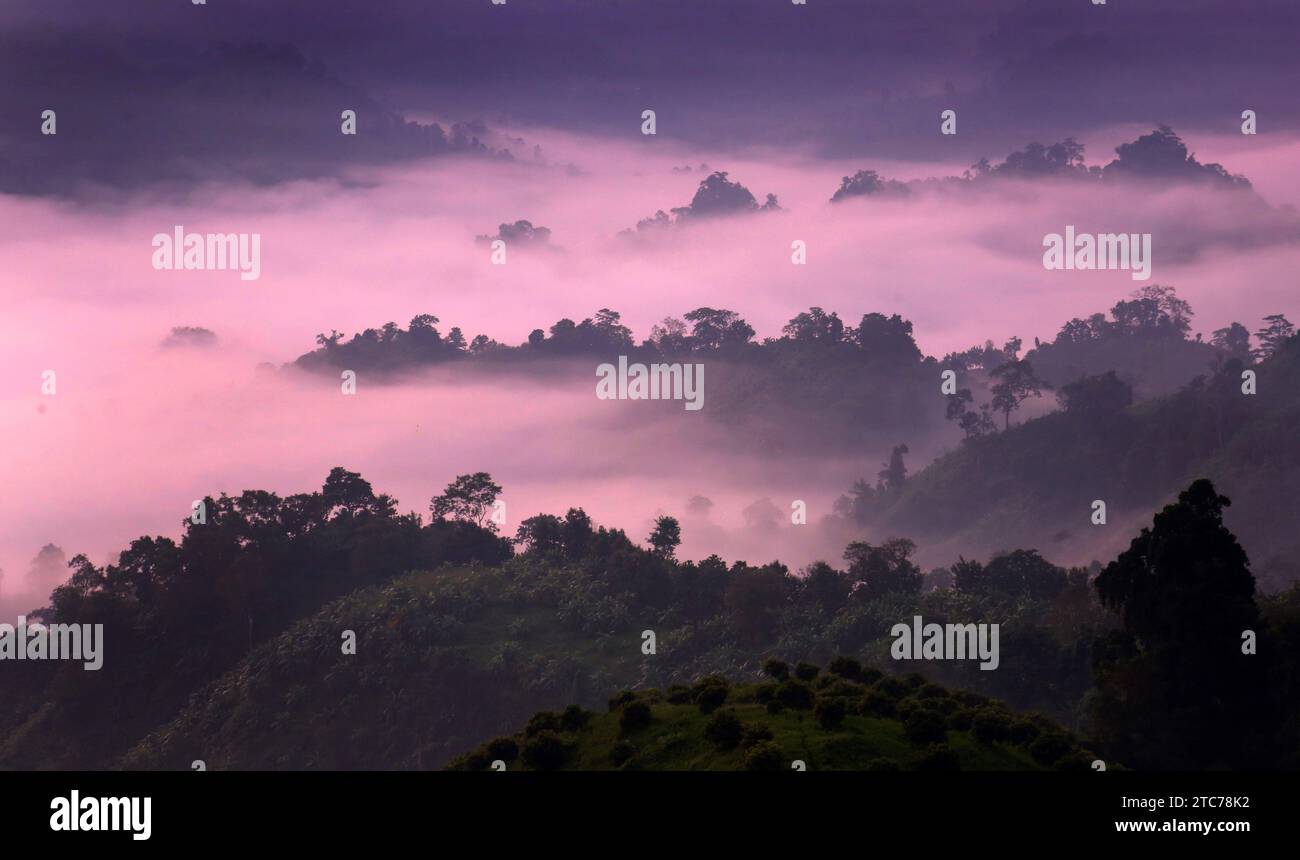 (231211) -- BANDARBAN, 11. Dezember 2023 (Xinhua) -- dieses Foto vom 8. Dezember 2023 zeigt Wolken über Hügeln in Bandarban, Bangladesch. (Xinhua) Stockfoto