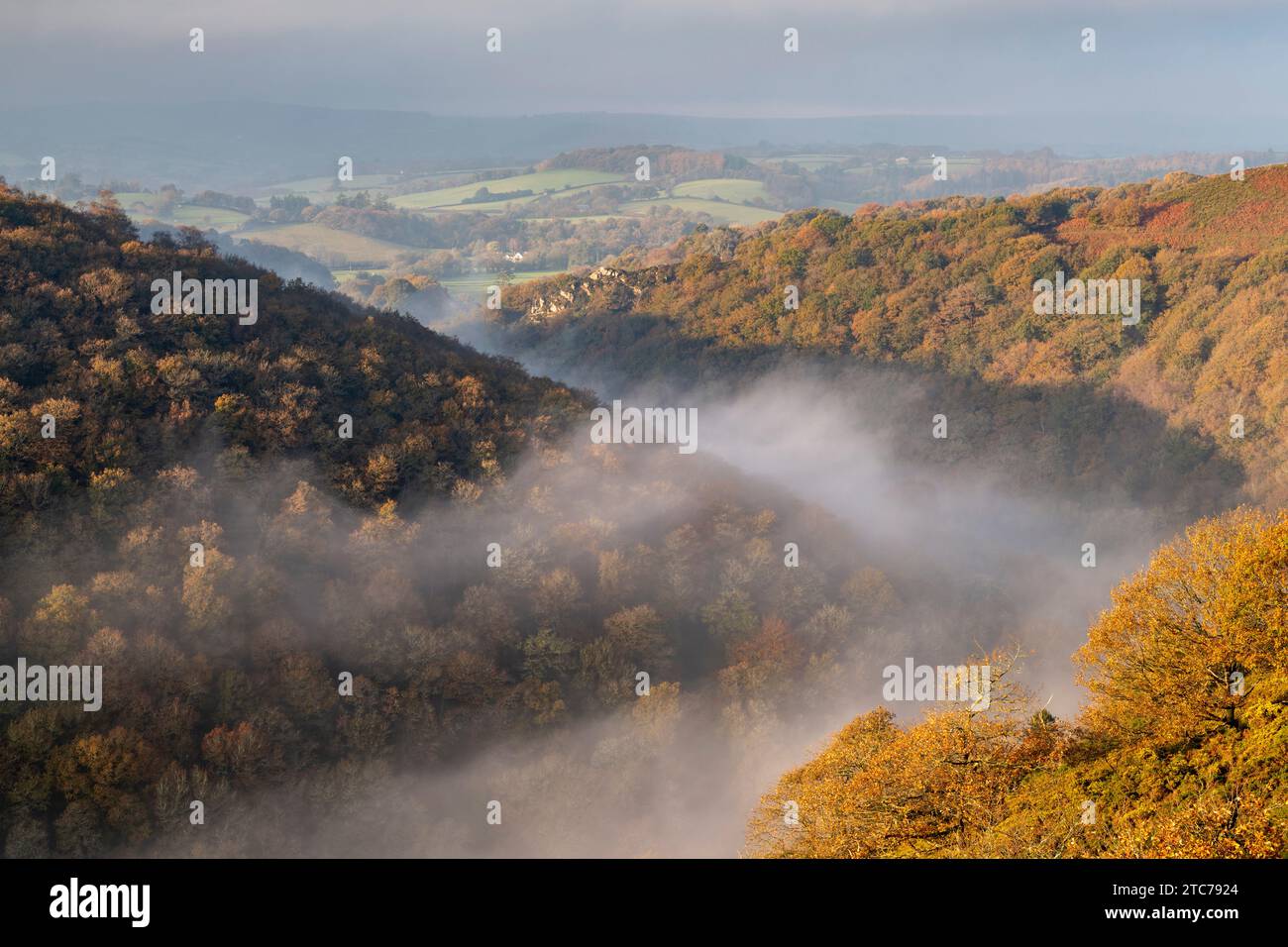 Herbstnebel im Teign Valley oberhalb der Fingle Bridge, Dartmoor, Devon, England. Herbst (November) 2020. Stockfoto