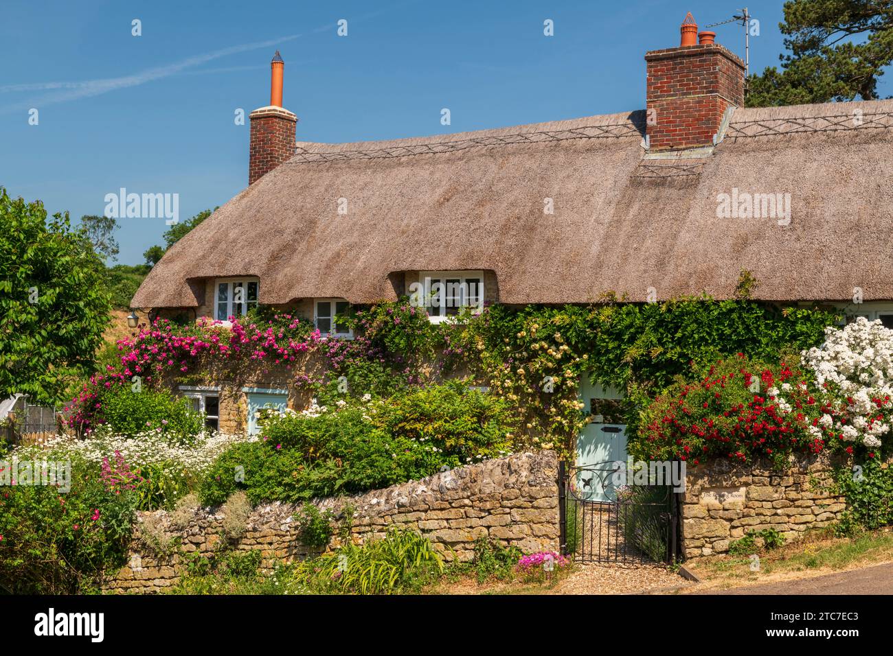 Idyllisches strohgedecktes Ferienhaus und farbenfroher Blumengarten im Dorf Powerstock, Dorset, England. Sommer (Juni) 2023. Stockfoto