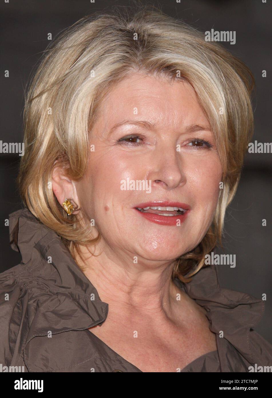 Martha Stewart nimmt am 20. April 2010 an der Vanity Fair Party Teil, um das Tribeca Film Festival im State Supreme Courthouse in New York City zu feiern. Foto: Henry McGee/MediaPunch Stockfoto