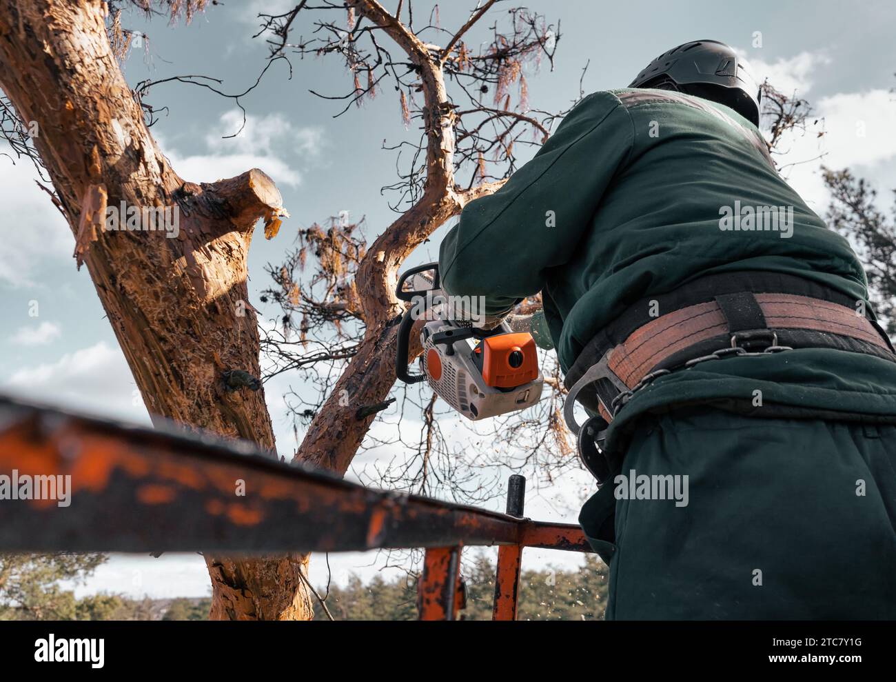 Der Baumstamm schneidet die Äste eines Notbaums mit der Kettensäge ab, während er in großer Höhe in der Wiege eines Aufzugs steht. Stockfoto