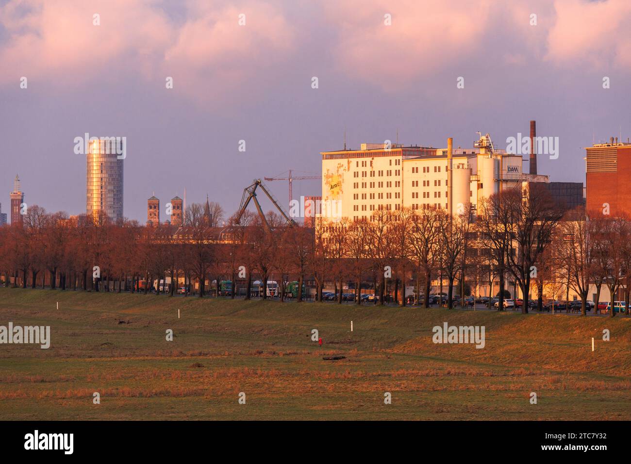 Lanxess Tower, Rheinwiesen im Stadtteil Poll, Auermühle und Ellmühle im Hafen von Deutz, Köln. Lanxess Tower, Poller Rheinwiesen Stockfoto