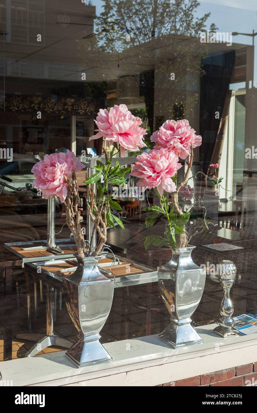 Blumentöpfe in einem Fenster eines Restaurants in Amsterdam, Niederlande Stockfoto
