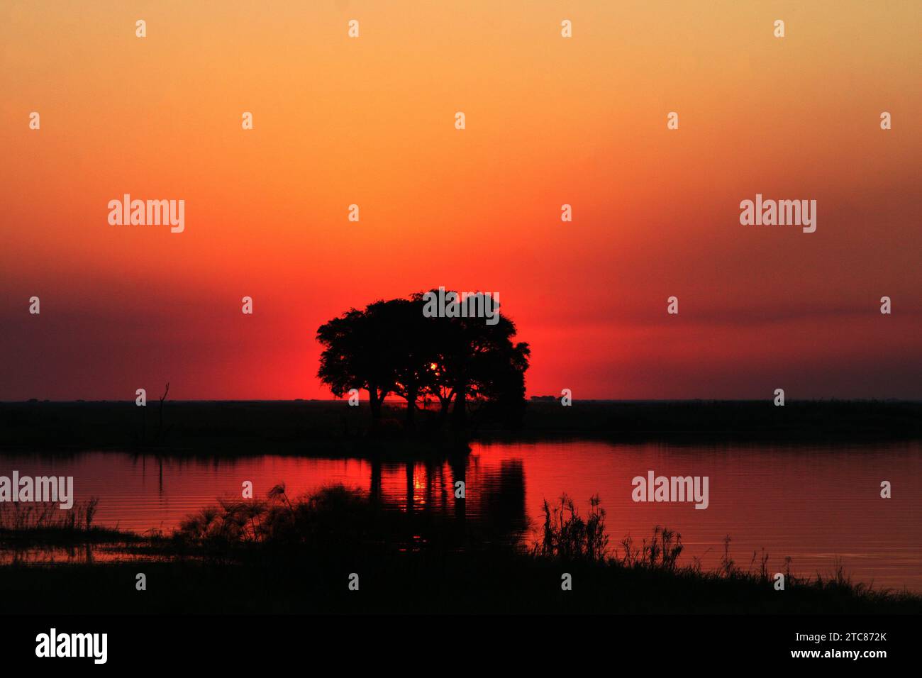 Okavango Delta Sonnenuntergang Stockfoto