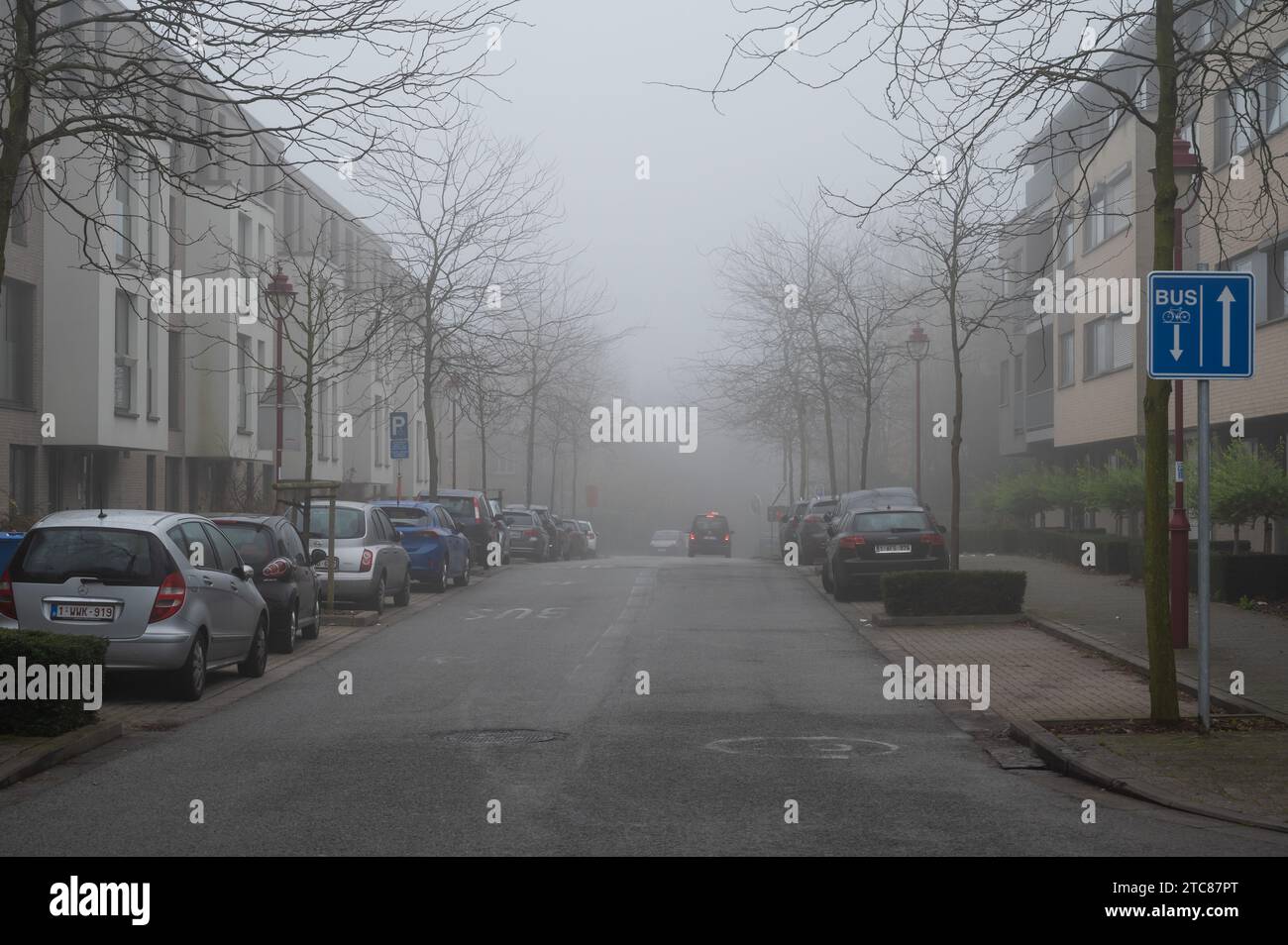 Dilbeek, Brabant, Belgien, 1. Dezember 2023 - Wohnstraße mit geparkten Autos an einem nebeligen Morgen Stockfoto