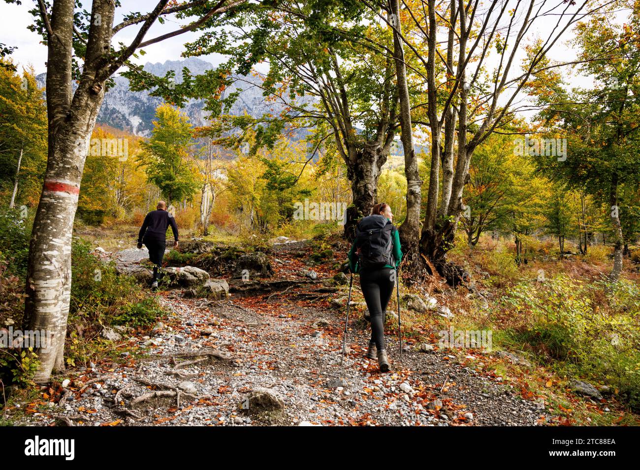 Wanderer auf einem Waldweg in den albanischen Alpen im Herbst Stockfoto