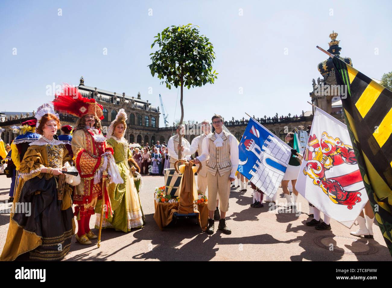 Rückkehr der Orangen aus ihrem Winterquartier an den Dresdner Zwinger Stockfoto