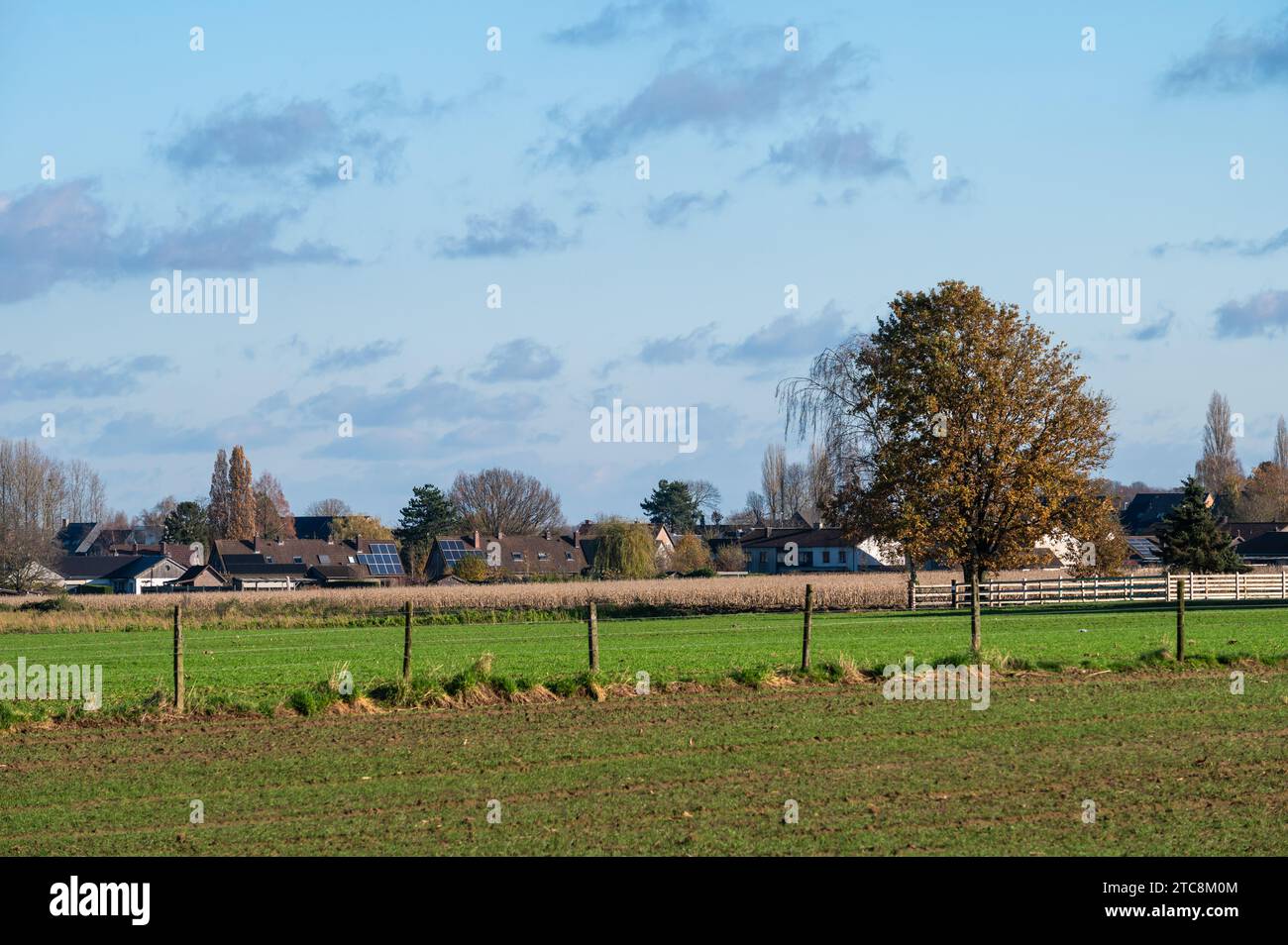 Grüne und braune Ackerfelder rund um Saint Brixius Rode, Flämische Region Brabant, Belgien Stockfoto