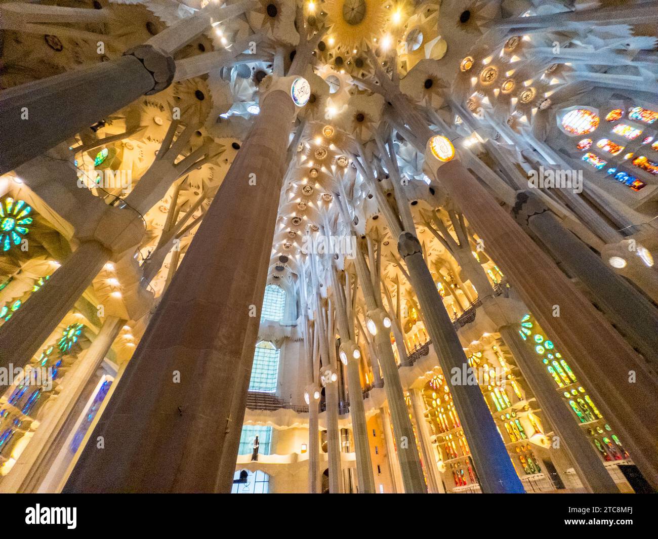 Licht durchströmt die Buntglasfenster der Basilika de la Sagrada Familia, entworfen von Antoni Gaudí und Stockfoto
