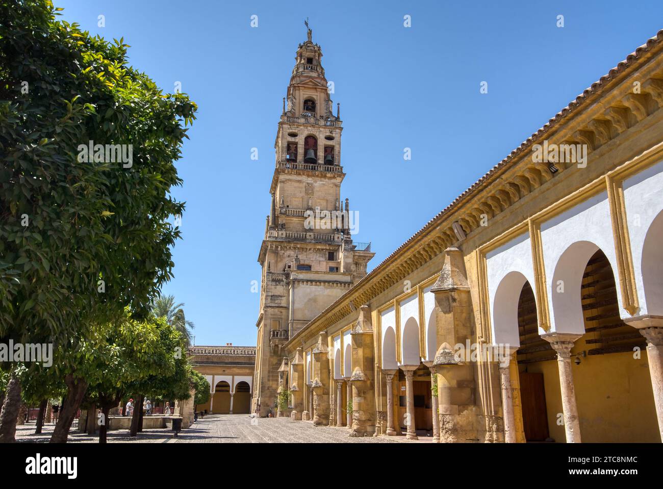 Äußere der Mezquita Kathedrale, ursprünglich Teil der Großen Moschee von Cordoba Stockfoto