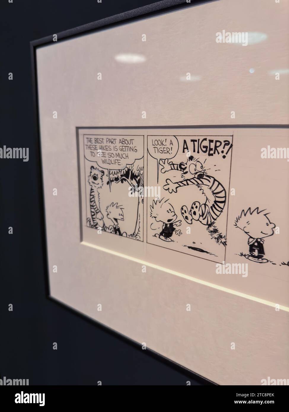 Calvin & Hobbes von Bill Waterson. Die Ausstellung „Comic, Dreams and History“ im CaixaForum bietet eine Führung durch einige der besten Comics der Geschichte und de Stockfoto