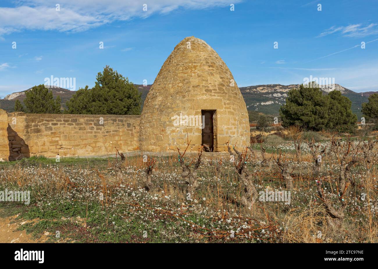 Bienenstock-förmige Hirtenhütte auf dem spanischen Hügel, umgeben von kleinen weißen Blumen und Weinstöcken Stockfoto