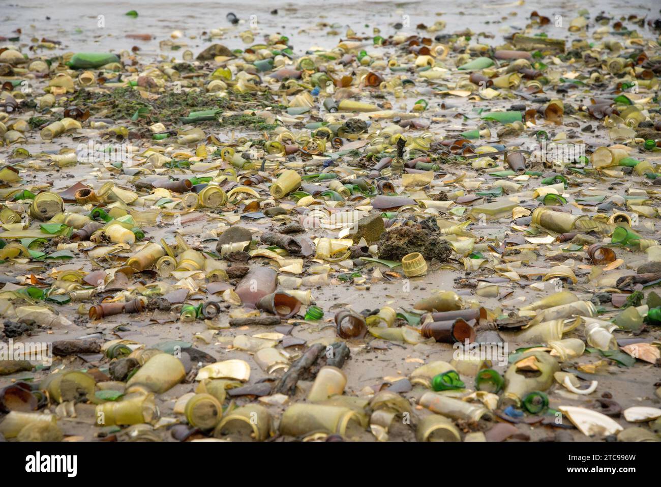 Die Dead Horse Bay in Brooklyn ist ein Schrottplatz aus Glas und Pferdeknochen. Stockfoto