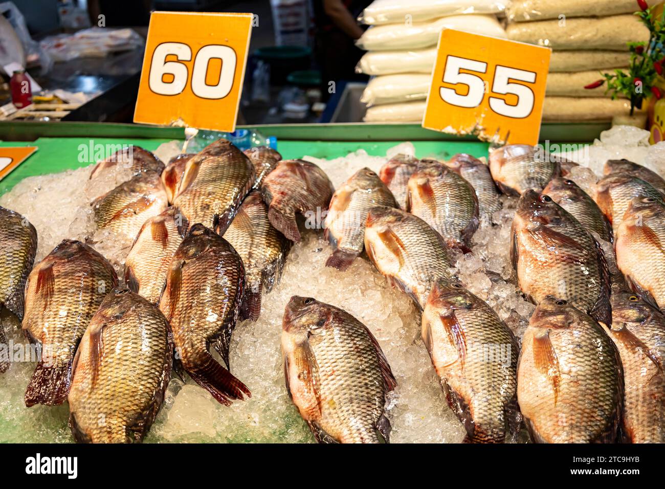 Fischgeschäft im Hauptgebäude des Yamo Markts, Nakhon Ratchasima, Isan, Thailand, Südostasien, Asien Stockfoto