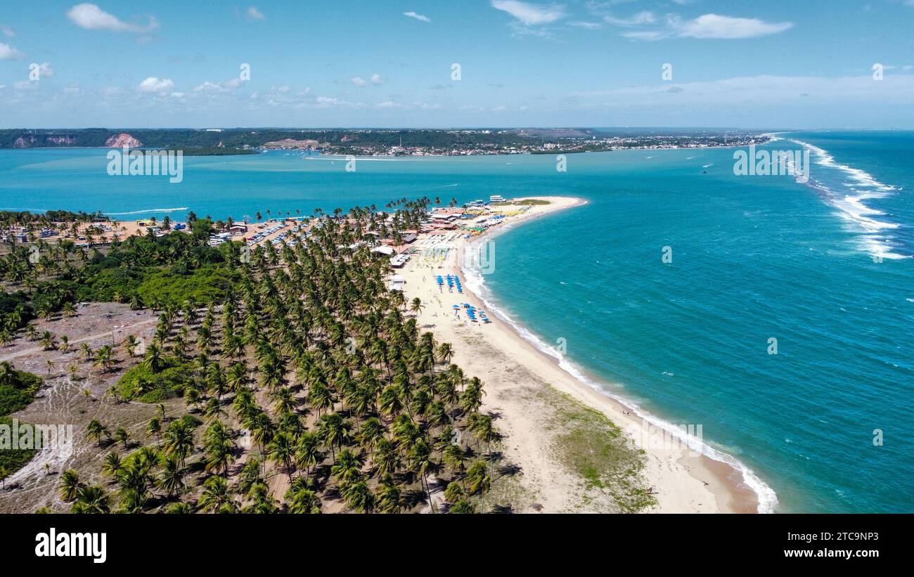 Das unglaubliche Praia do Gunga, Brasilien. Die Küste voller Palmen, Strände und kristallklarem Wasser Stockfoto