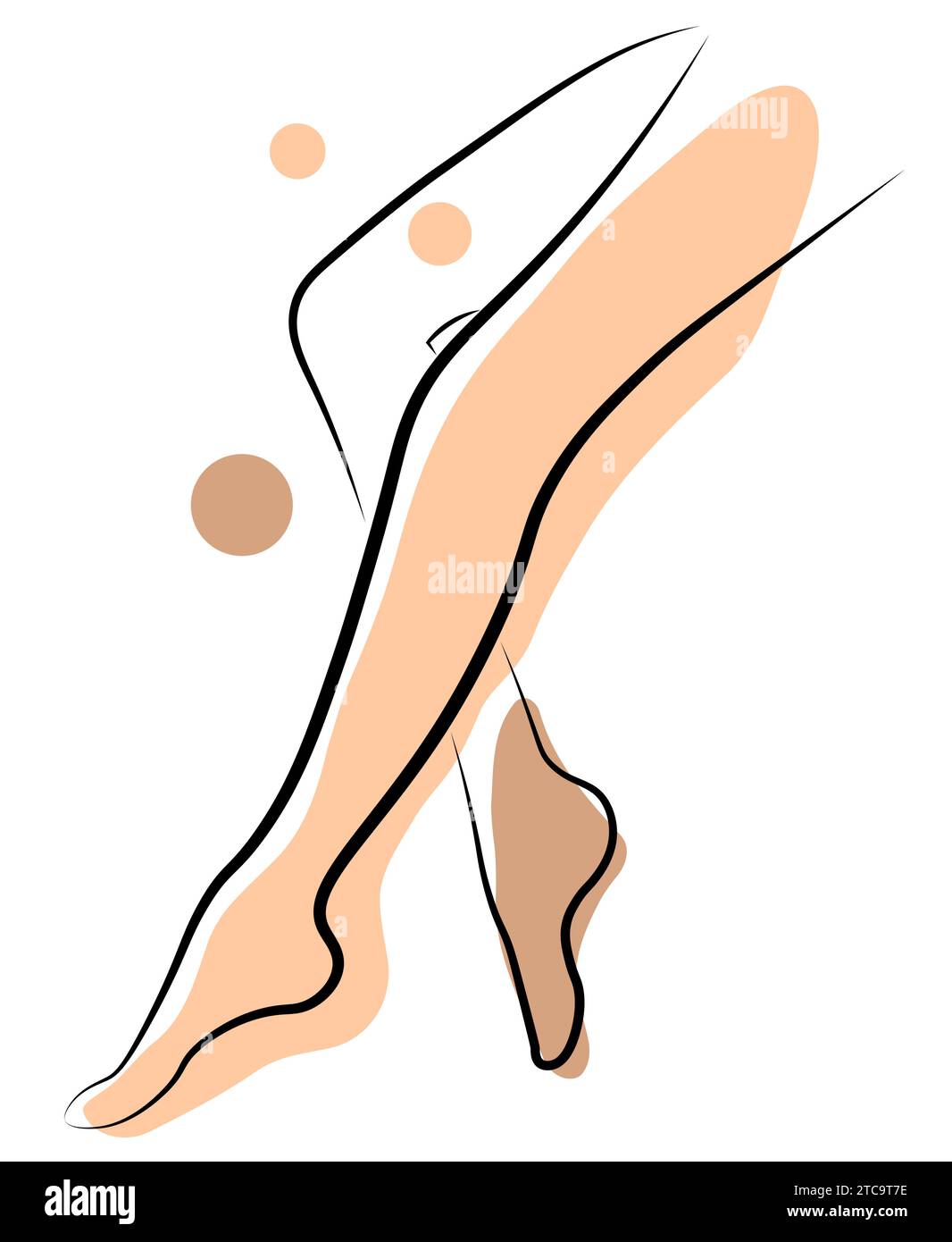 Weibliche Beine auf weißem Hintergrund Stock Vektor