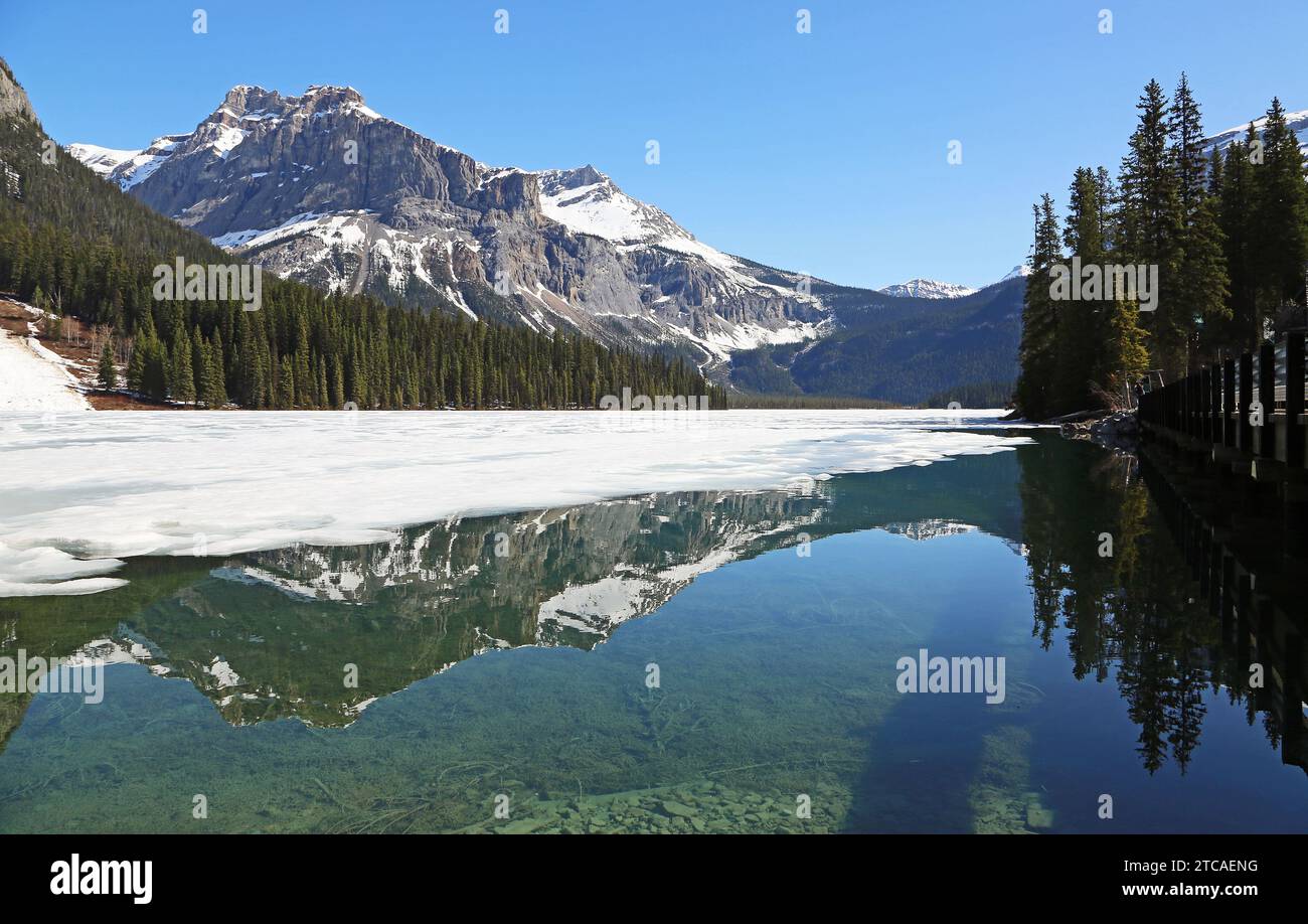 Michael Peak am Emerald Lake, Yoho NP, Kanada Stockfoto