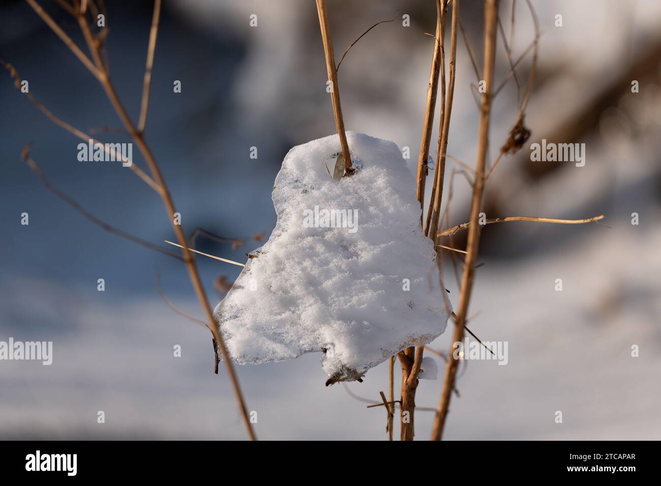 Schnee und Eis in der Natur. Winter im Detail. Nahaufnahme des Schnees. Stockfoto