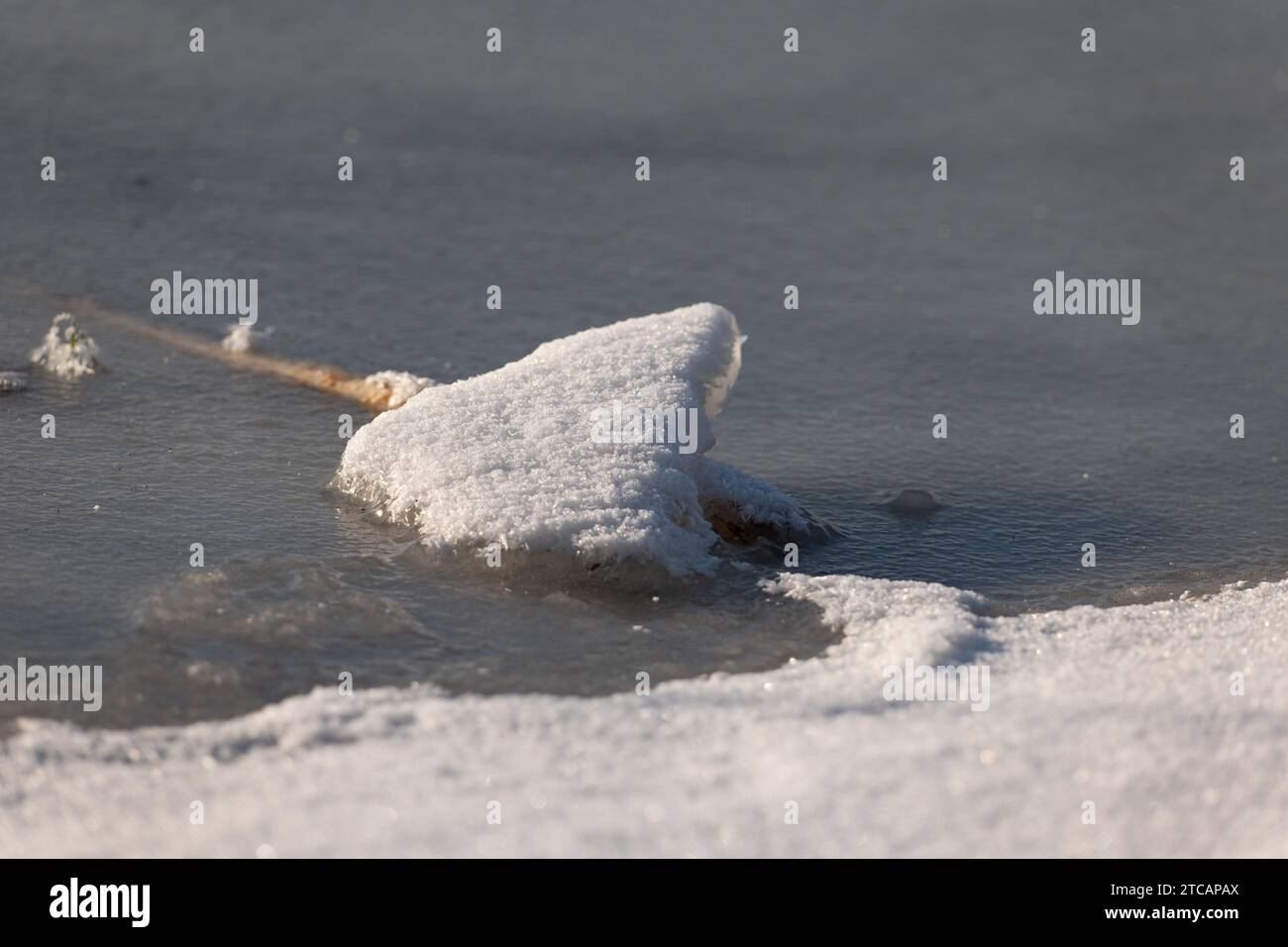 Schnee und Eis in der Natur. Winter im Detail. Nahaufnahme des Schnees. Stockfoto