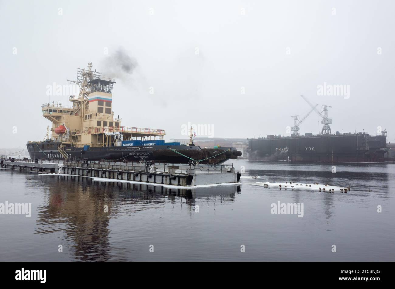 St.Petersburg, Russland - 27. Januar 2017: Der dieselelektrische Eisbrecher Sankt Petersburg des Projekts 21900, Seriennummer 602, wird am Pier Lieuten vertäut Stockfoto