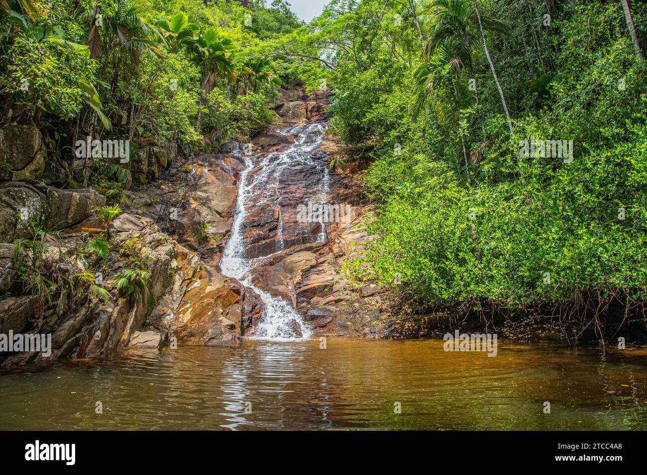 Wasserfall auf der seychellischen Insel Mahe Stockfoto