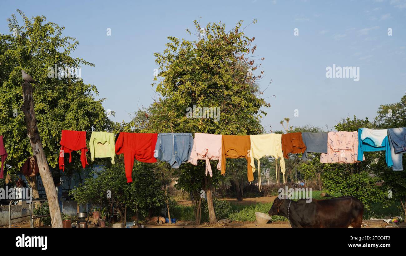 Nach dem Waschen trocknet bunte Kleidung auf einer Wäscheleine im Garten draußen im Sonnenlicht. Wäscheleine mit frisch gewaschener Kleidung draußen drinnen Stockfoto
