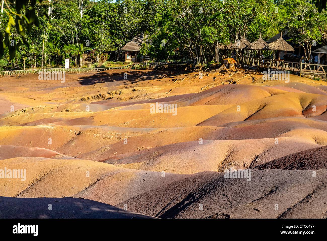 Sieben farbige Erde (Sandstein Bildung mit sieben Farben) auf Mauritius, Chamarel, Indischer Ozean Stockfoto