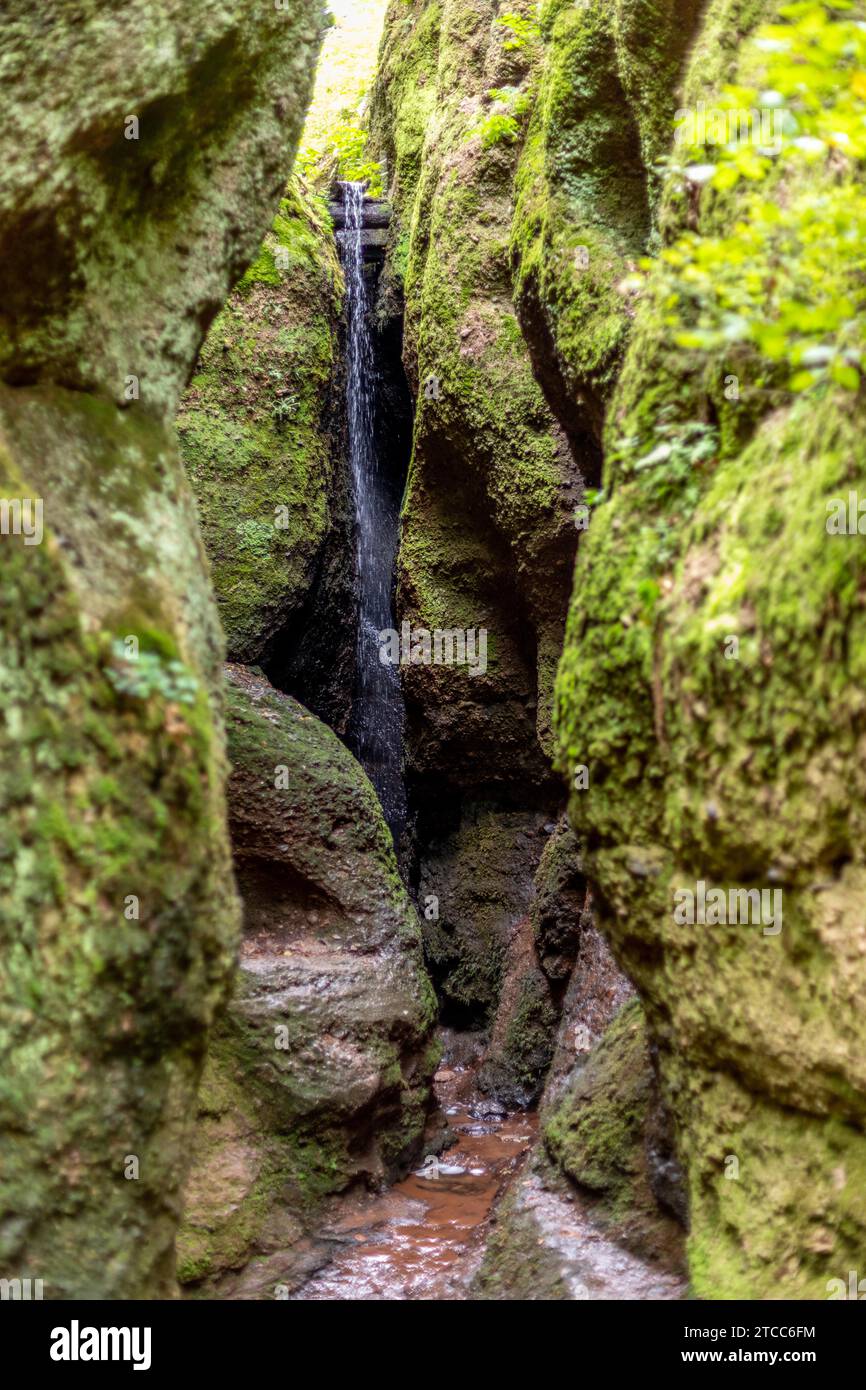 Wasserlauf entlang moosbedeckter Felsen in der Drachenschlucht, Drachenschlucht bei Eisenach, Thüringen Stockfoto