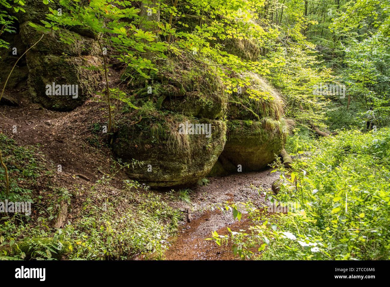 Bach- und moosbedeckte Felsen in der Drachenschlucht, Drachenschlucht bei Eisenach, Thüringen Stockfoto