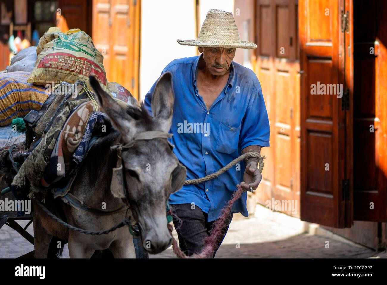 Marrakesch, Marokko: Marokkanischer Mann, der einen Esel auf einer Straße in der Medina von Marrakesch führt. Stockfoto