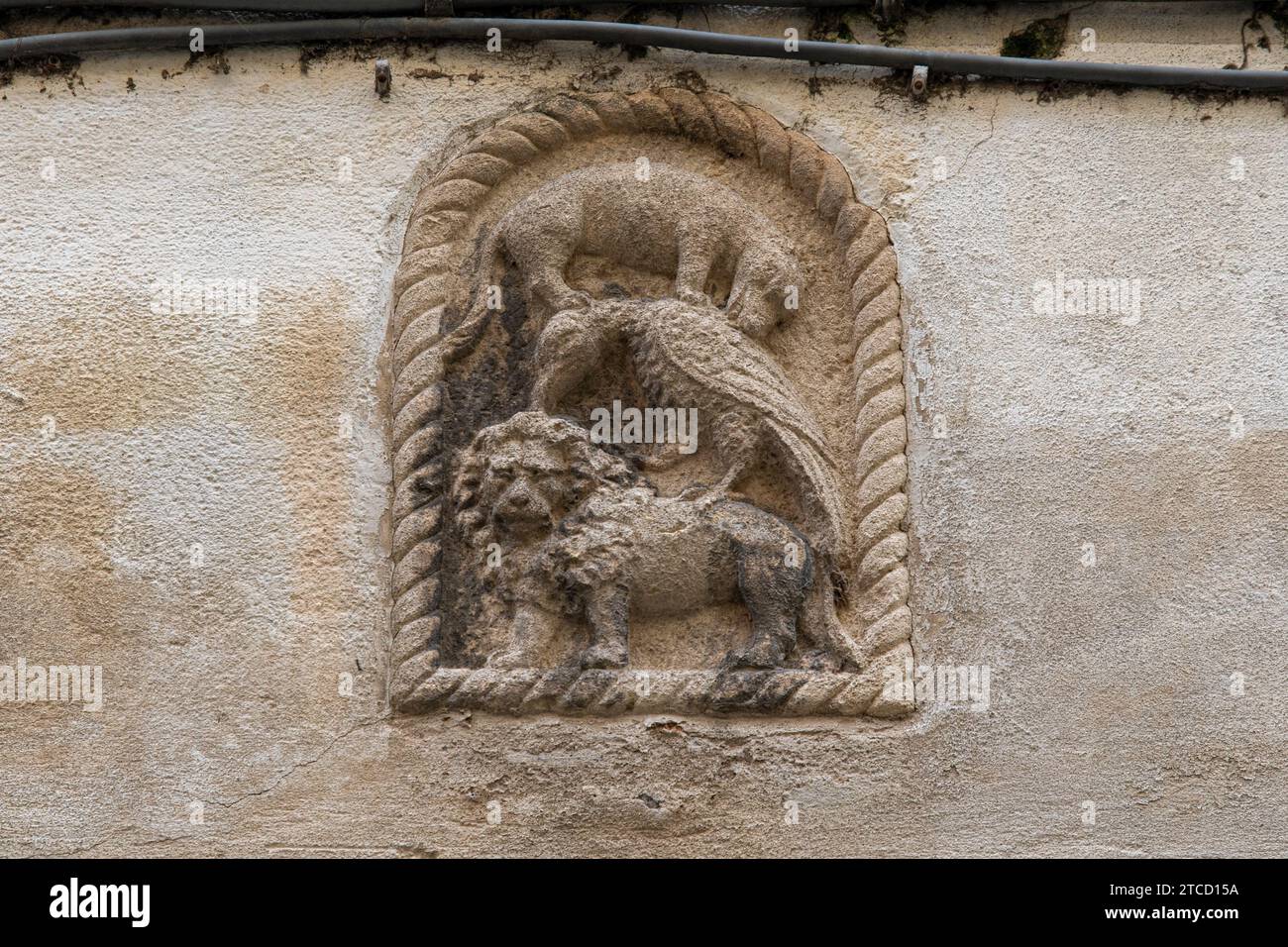 Das Basrelief aus Stein zeigt den Kampf zwischen einem Wolf, einem Adler und einem Löwen im mittelalterlichen Dorf Finalborgo, Finale Ligure, Savona, Ligurien, Italien Stockfoto