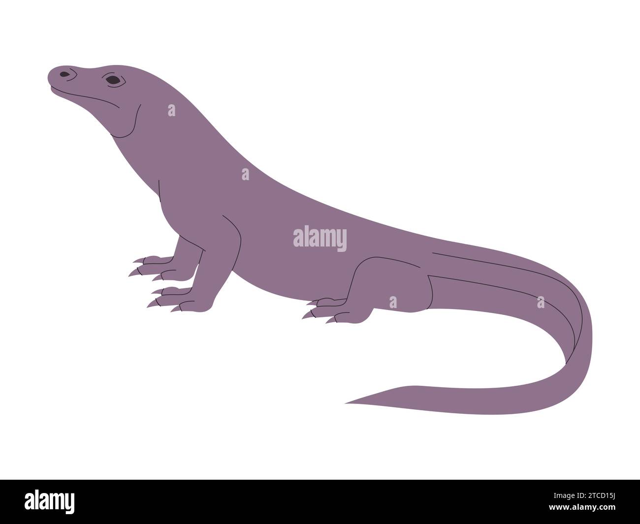 komodo-Drache wildes Naturtier große Eidechse Fleischfresser gefährdetes Reptil mit langem Schwanz Stock Vektor
