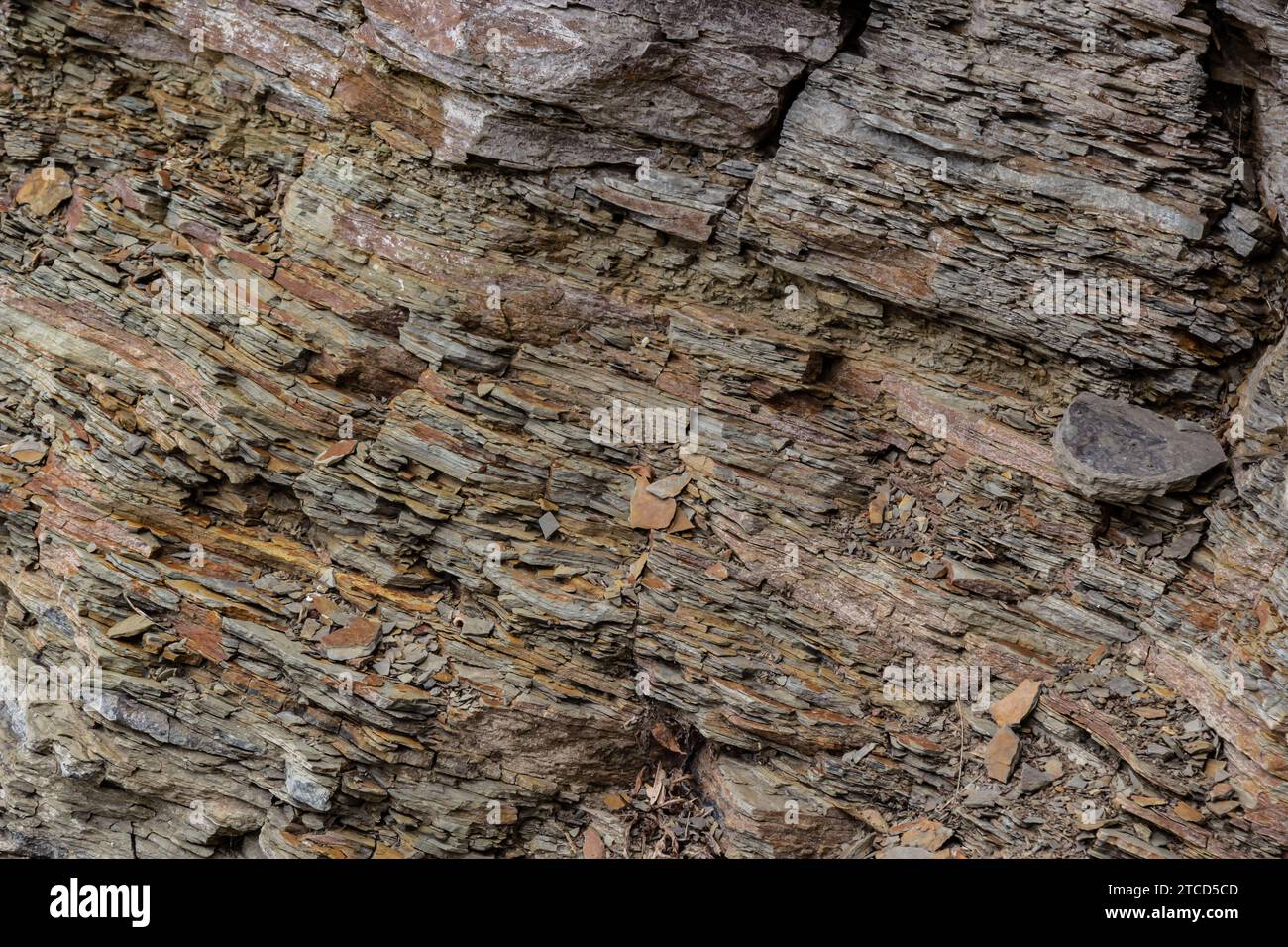 Die meisten Gesteine an der Erdoberfläche sind Sedimentgestein. Sedimentgestein werden Partikel für Partikel und Bett für Bett und laye gebildet Stockfoto