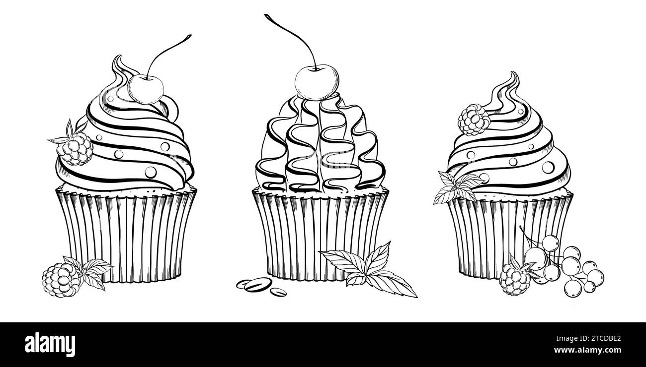 Set Cupcakes mit Beeren, Creme und Minzblättern. Vektorabbildung. Grapgischer STYLE. Handgezeichnet in einem einfachen minimalistischen Stil. Kann für verwendet werden Stock Vektor