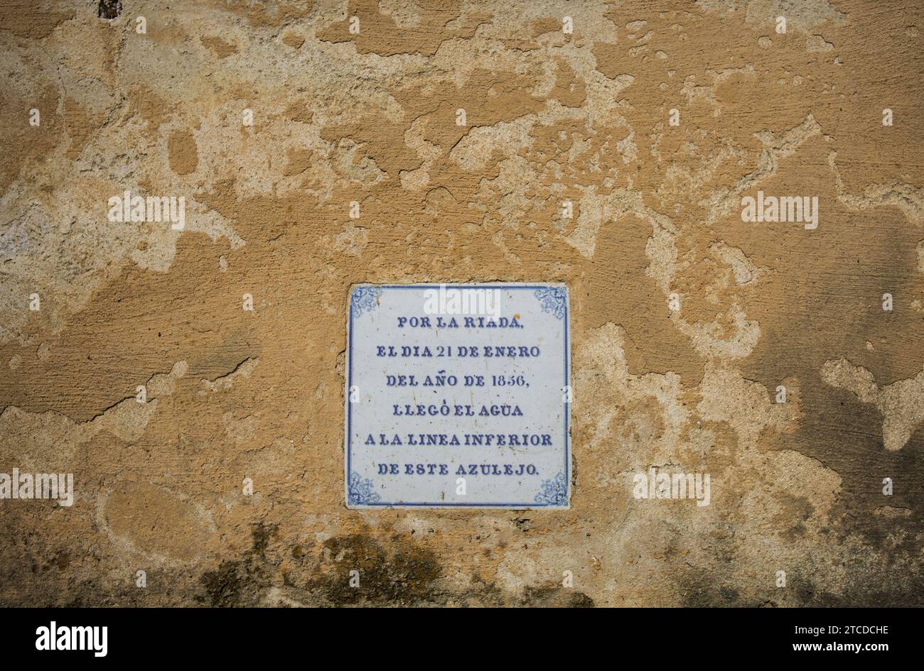 Sevilla, 27.03.2018. Bericht über die Kapelle im San Telmo Palast. Foto: Vanessa Gómez ARCHSEV. Quelle: Album / Archivo ABC / Vanessa Gómez Stockfoto