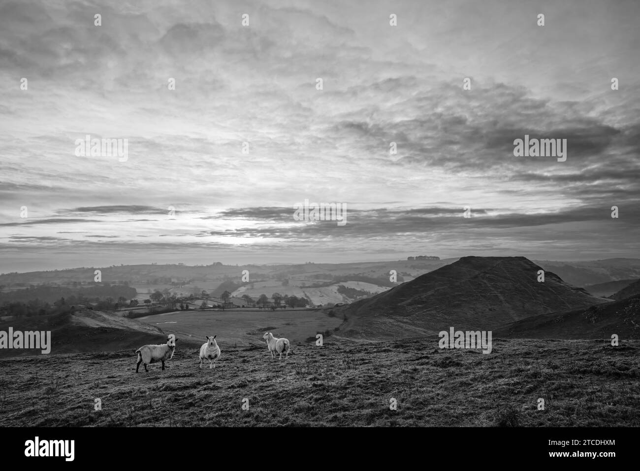 Thorpe Cloud von Thorpe Pasture, Peak District National Park, Derbyshire, England Stockfoto