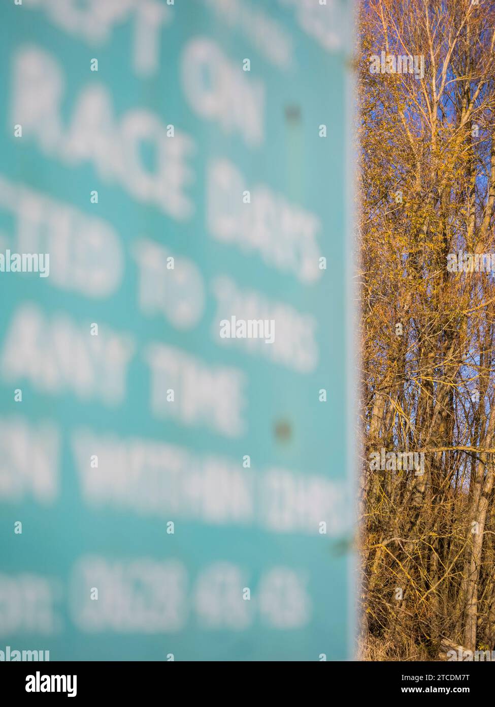 Tag Des Rennens, Themse, Flussufer, Marlow, Buckinghamshire, England, Großbritannien, GB. Stockfoto