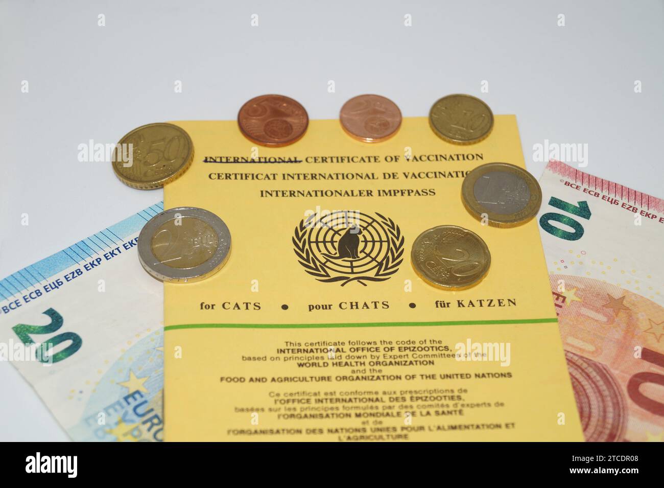 Internationales Impfzertifikat für Katzen und Geld, Symbolbild Stockfoto